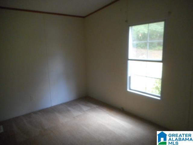 1641 Sprayberry Road Pell City, AL 35125 - Photo 8 of 10