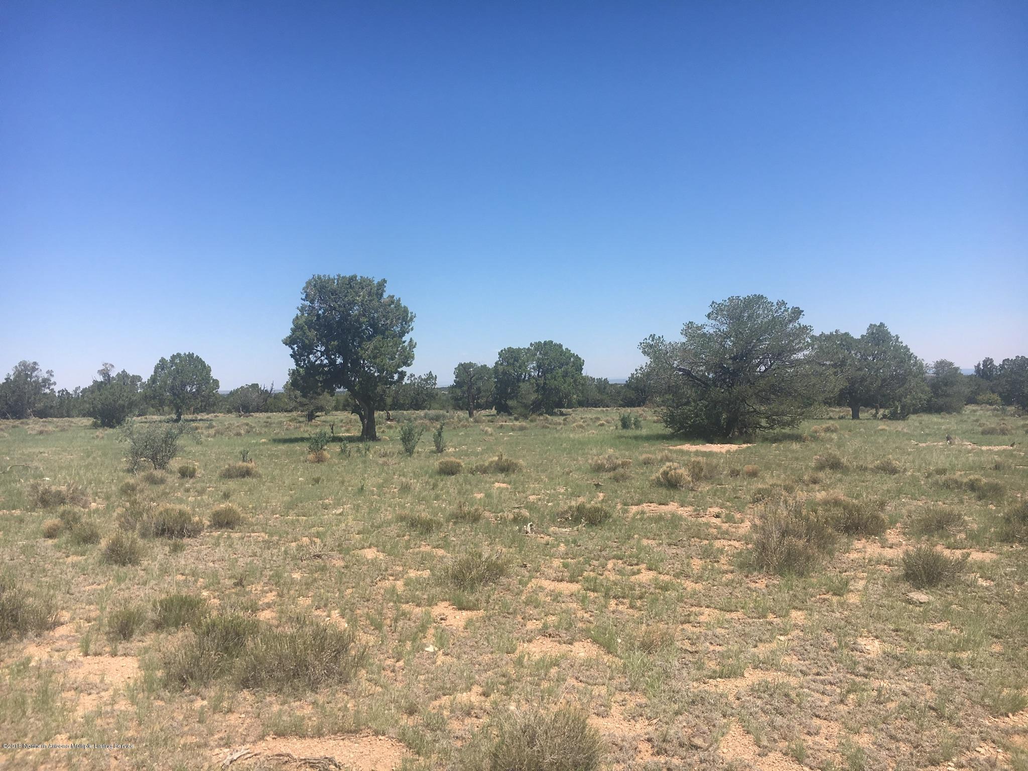 9207 West Red Bluff Road Williams, AZ 86046 - Photo 9 of 11 B4390A0A-08A1-473A-83B9-2F8924E8E817
