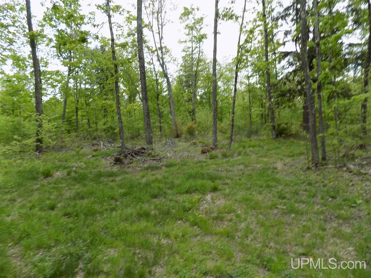 Tbd Slim's Road, Unit PARCEL B Manistique, MI 49854 - Photo 15 of 21