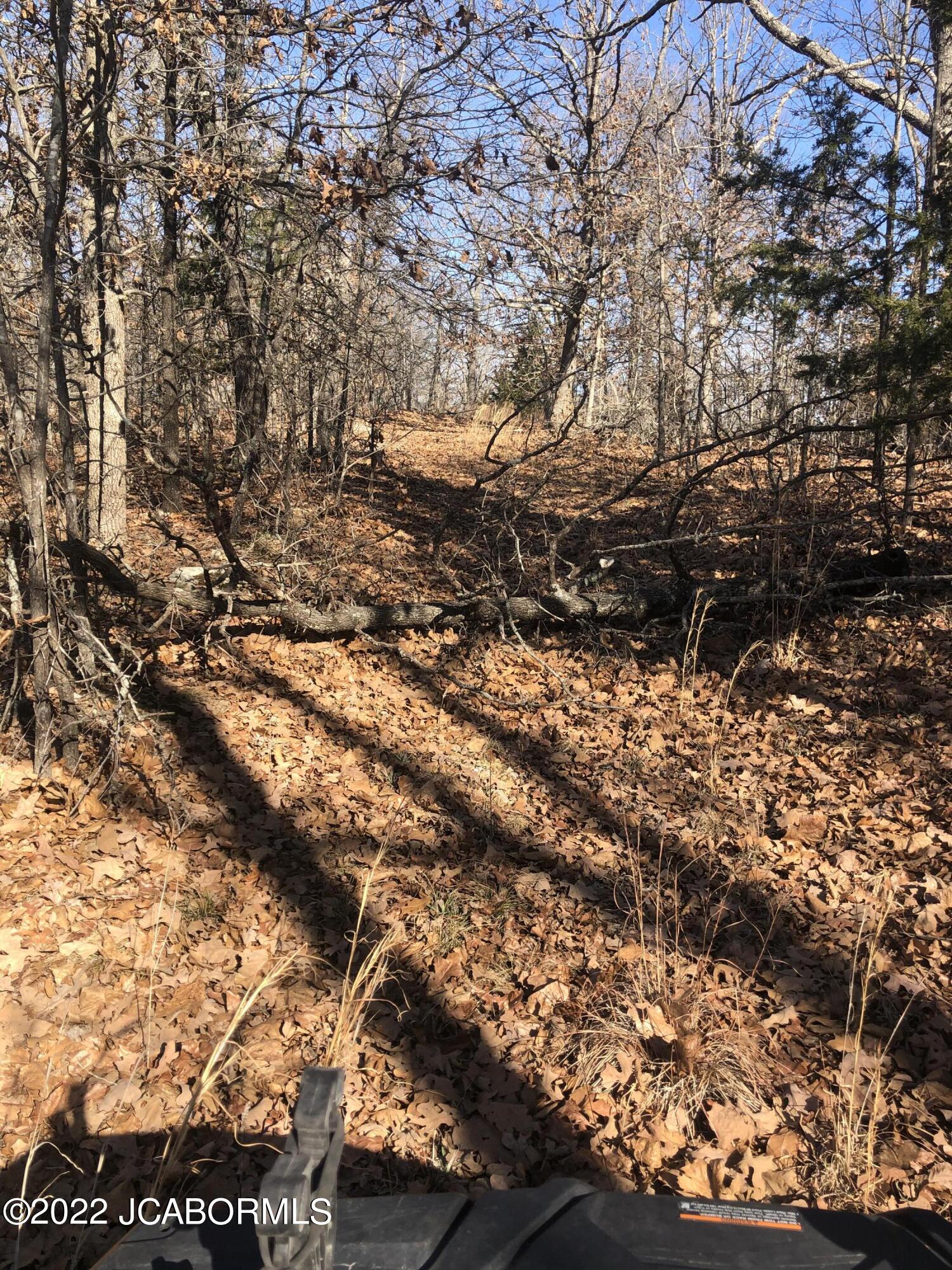 Tbd Broads Branch Road Macks Creek, MO 65786 - Photo 5 of 18
