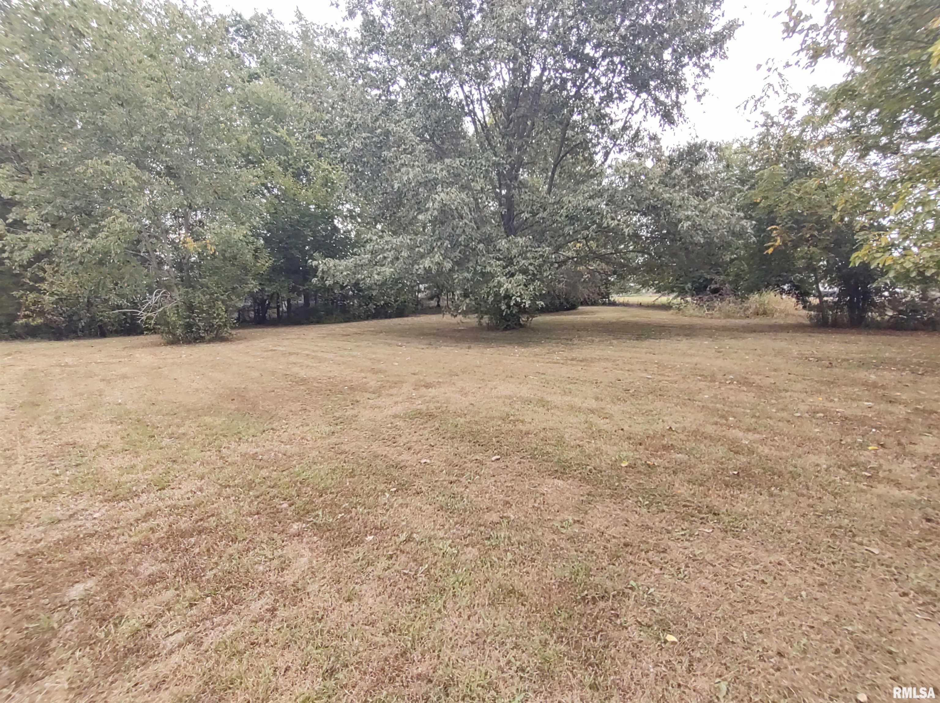 312 Appel Street Broughton, IL 62817 - Photo 5 of 17