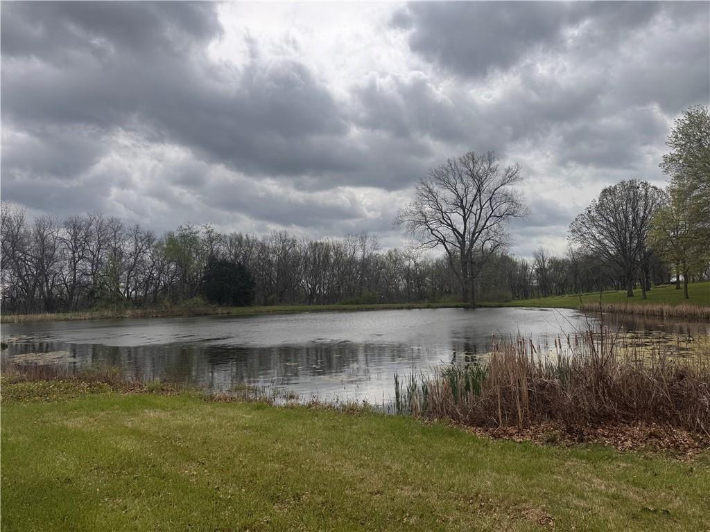 17813 Thompson Road Holt, MO 64048 - Photo 4 of 4