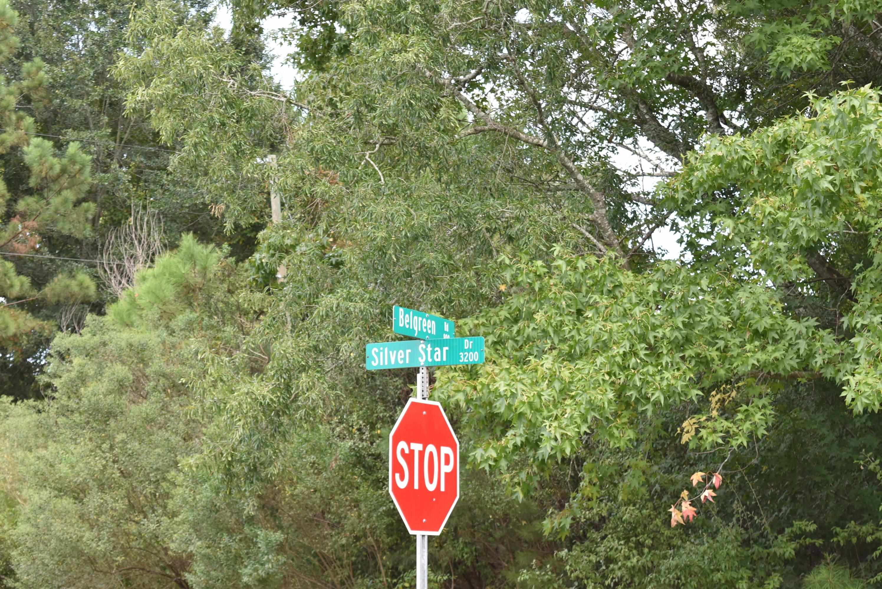 750 Odyssey Drive Durham, NC 27713 - Photo 1 of 6 a view of a outdoor space in a forest