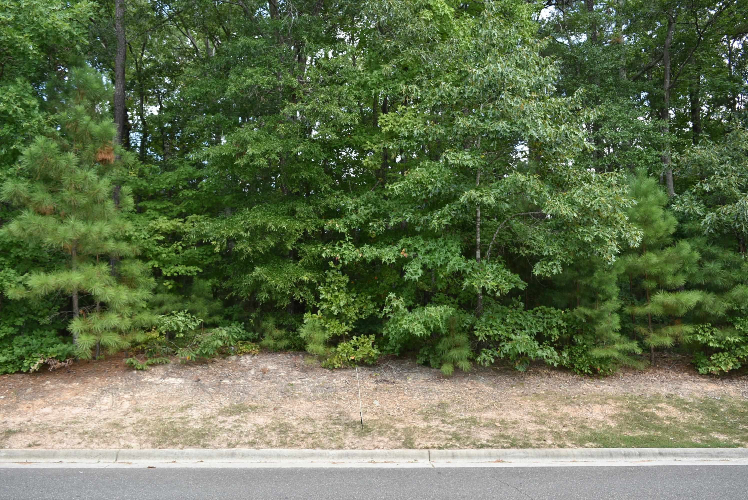 750 Odyssey Drive Durham, NC 27713 - Photo 3 of 6 a view of a yard with a tree
