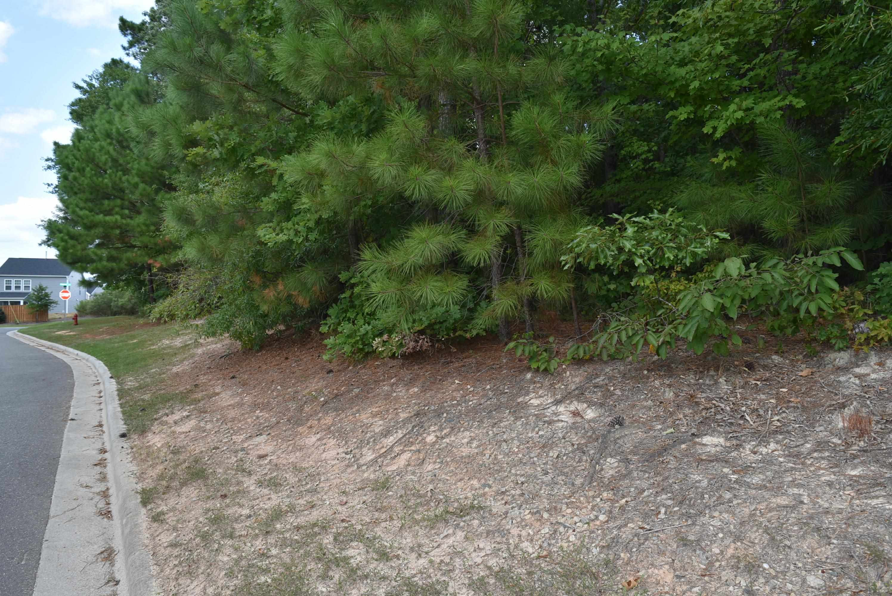 750 Odyssey Drive Durham, NC 27713 - Photo 6 of 6 a view of a yard with a plants and trees