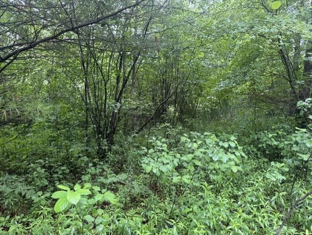 Elmwood Rd Green Green Bay, WI 54313 - Photo 10 of 16