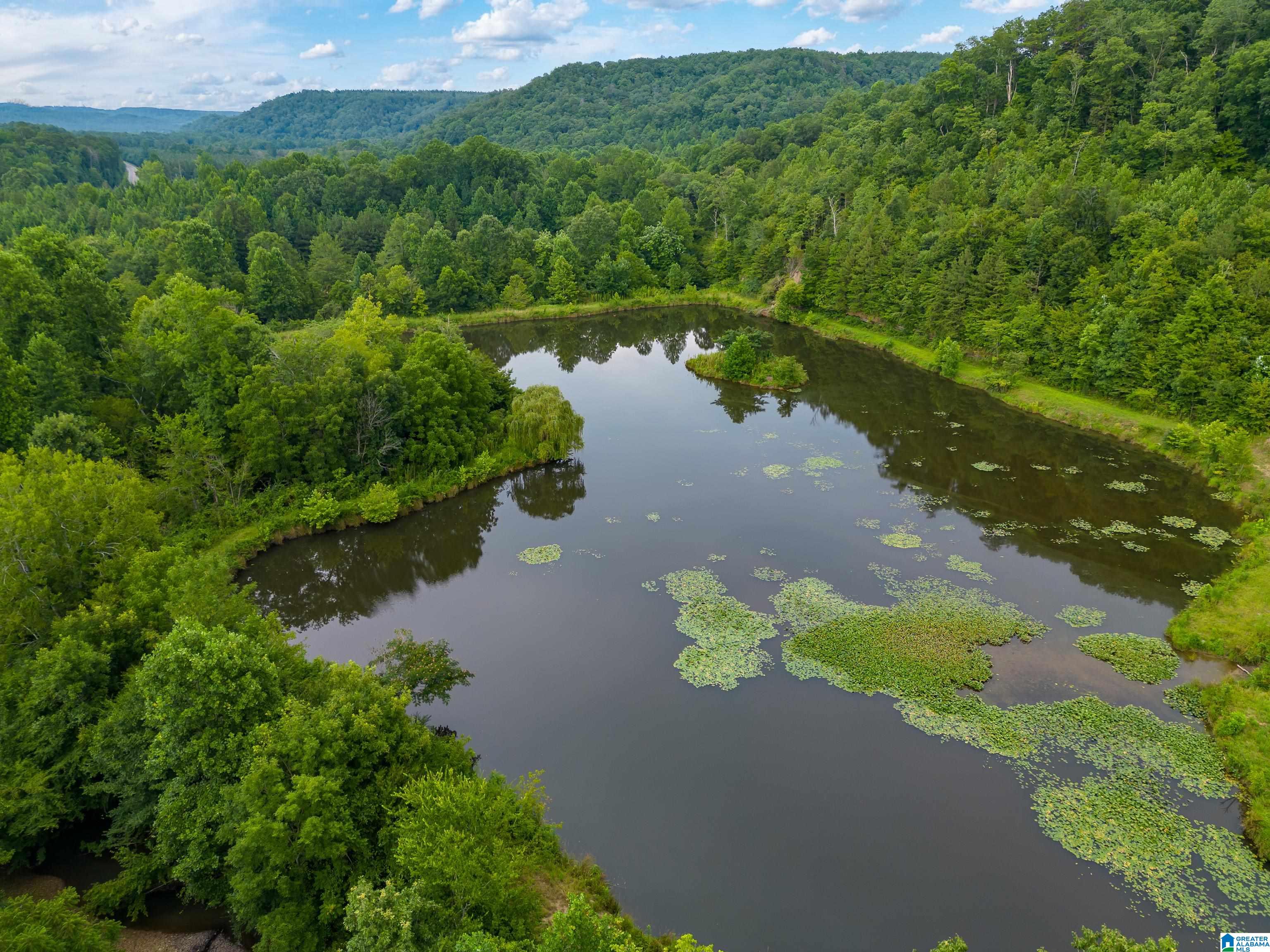81 Frozen Hollow Road, Unit 32 Carbon Hill, AL 35549 - Photo 33 of 42