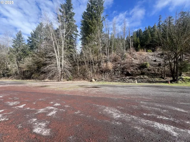 $44,000 | North Santiam Highway, Unit 3 & 4, Idanha, OR 97350