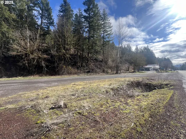 $44,000 | North Santiam Highway, Unit 3 & 4, Idanha, OR 97350