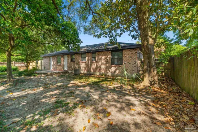 a view of a backyard with plants and large trees