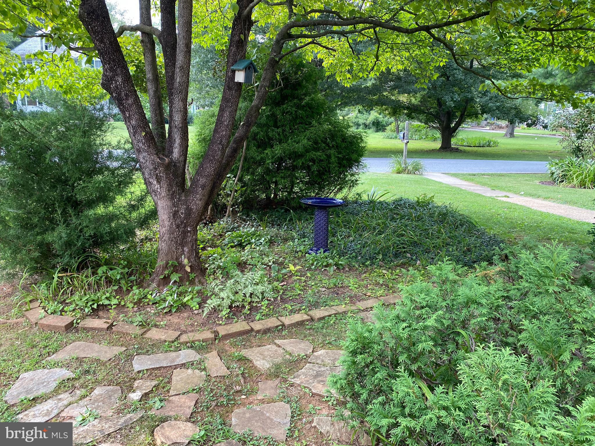 737 Howard Road Baltimore, MD 21208 - Photo 40 of 48 Front yard in Spring/Summer