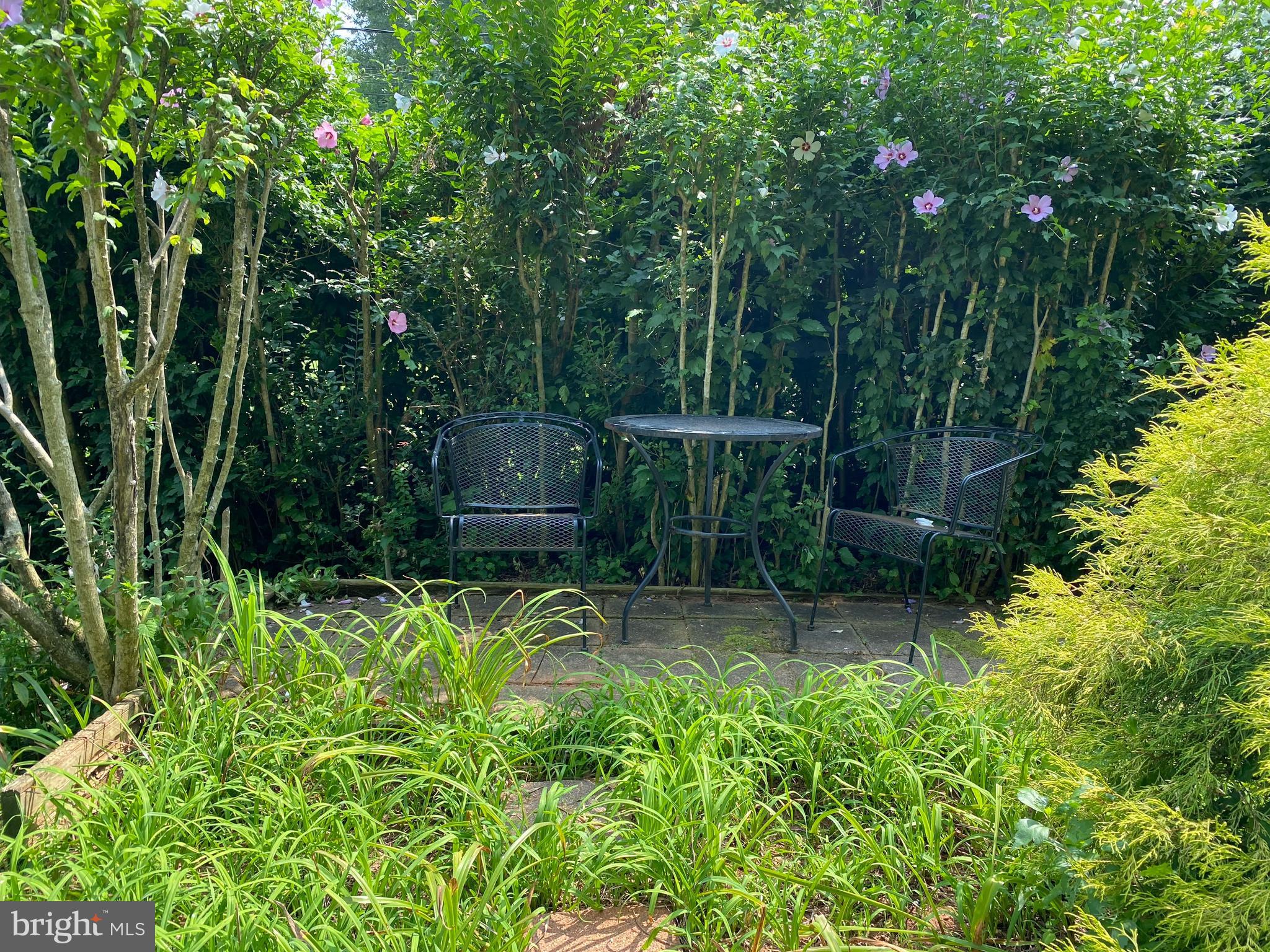 737 Howard Road Baltimore, MD 21208 - Photo 42 of 48 backyard