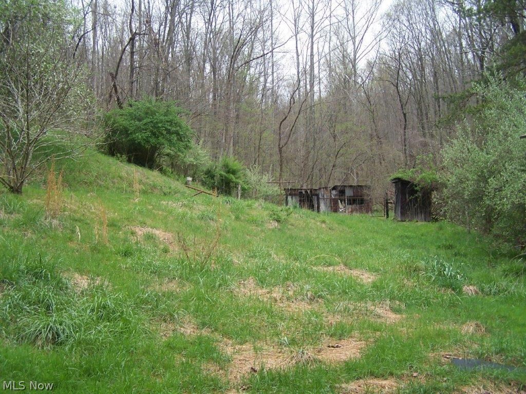 276 Scaffold Run Road Spencer, WV 25276 - Photo 4 of 7