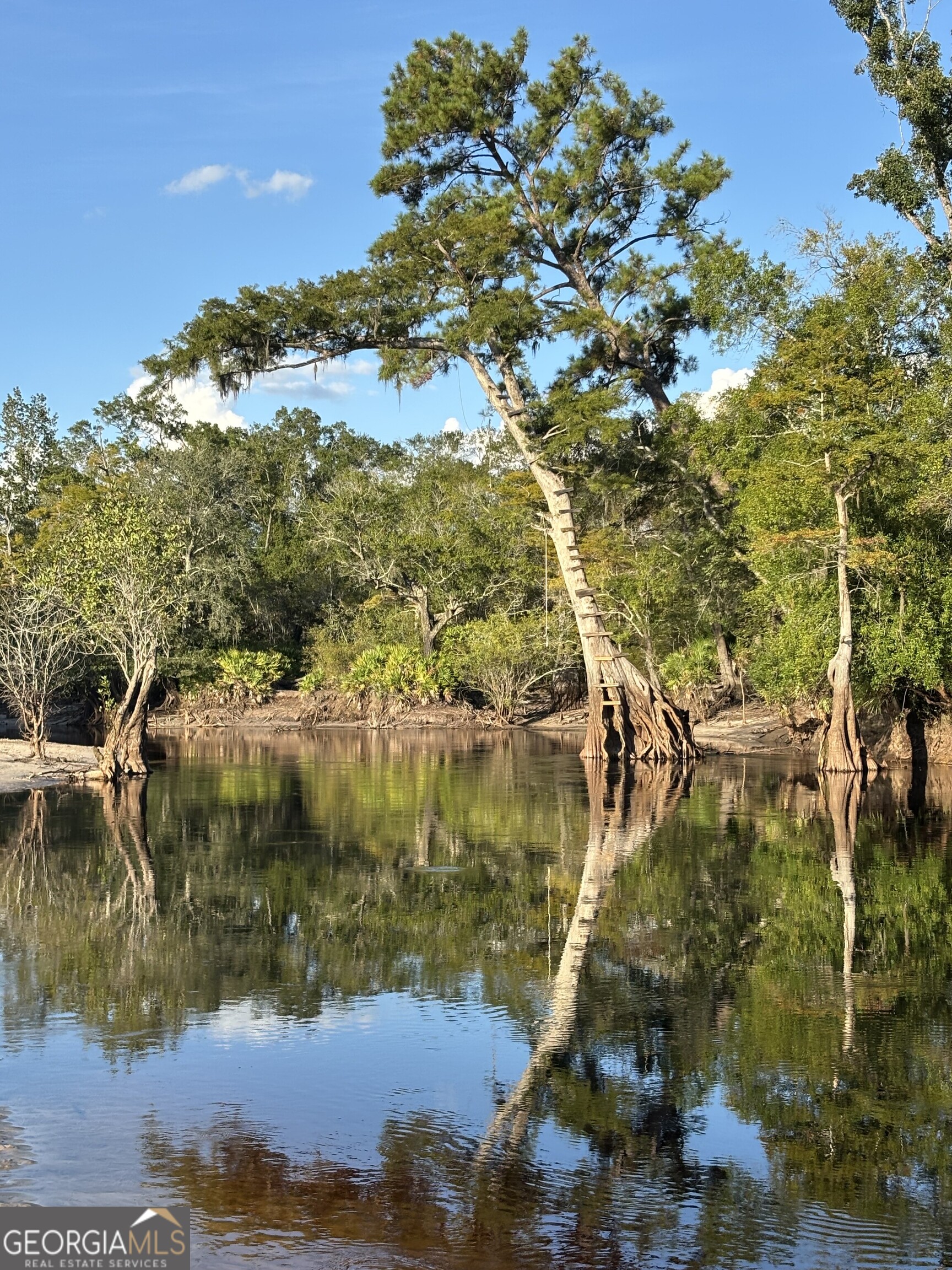 729 Highway 441 Fargo, GA 31631 - Photo 19 of 26 a view of lake