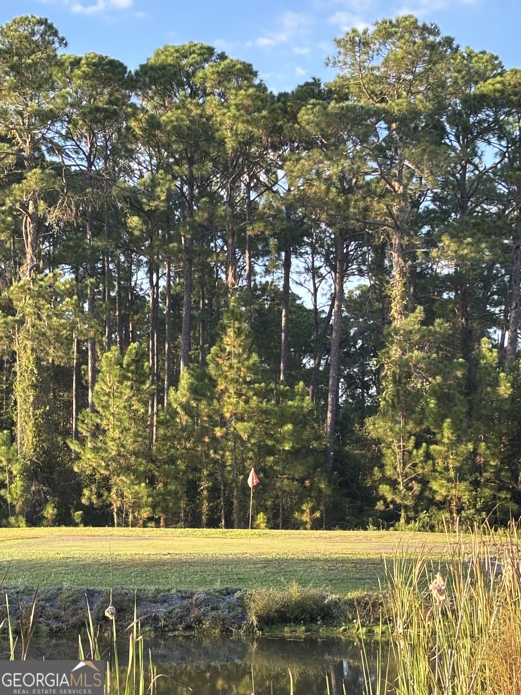 729 Highway 441 Fargo, GA 31631 - Photo 21 of 26 a view of a field with an trees