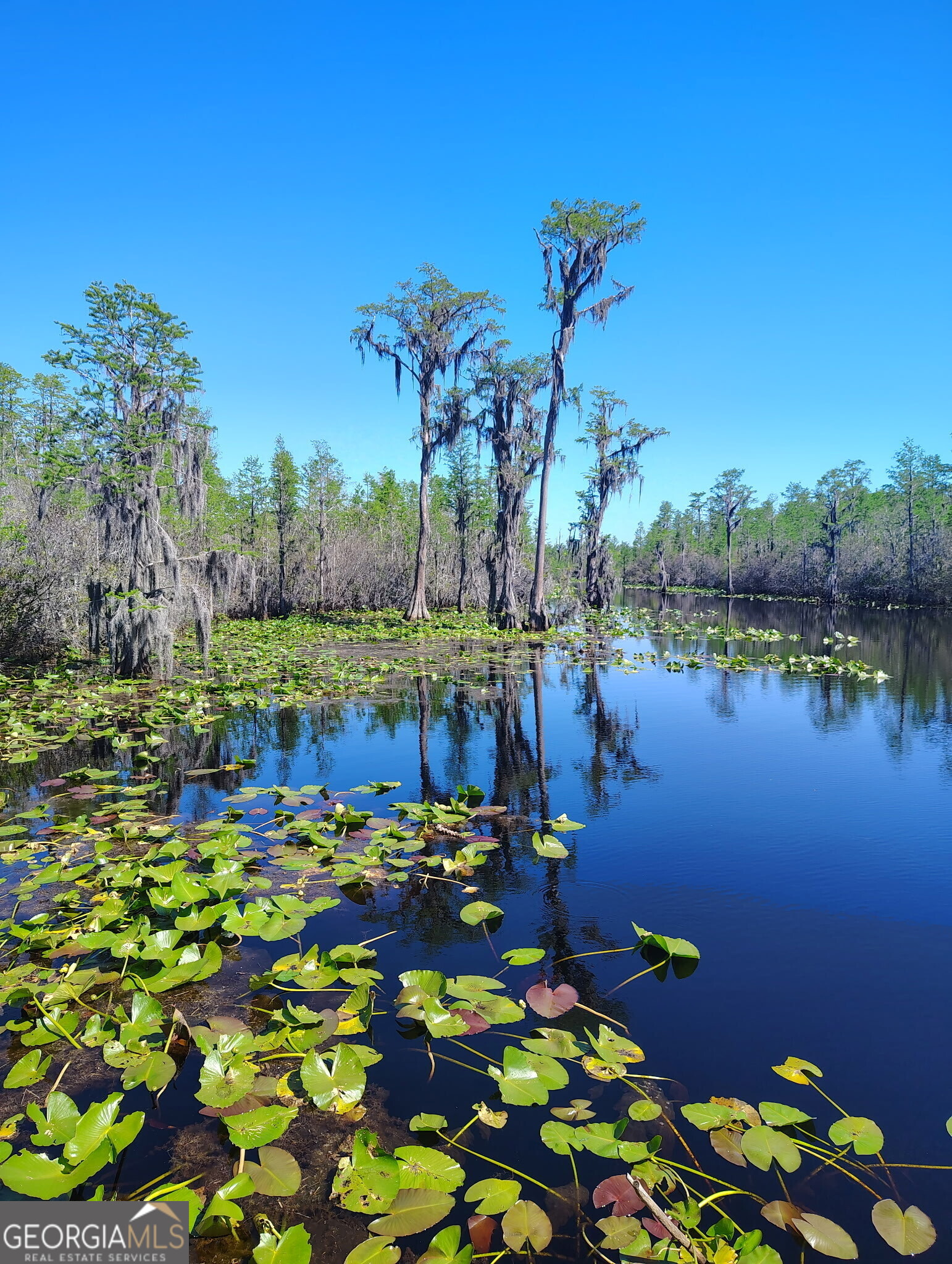 729 Highway 441 Fargo, GA 31631 - Photo 23 of 26 a view of a lake with a table and chairs