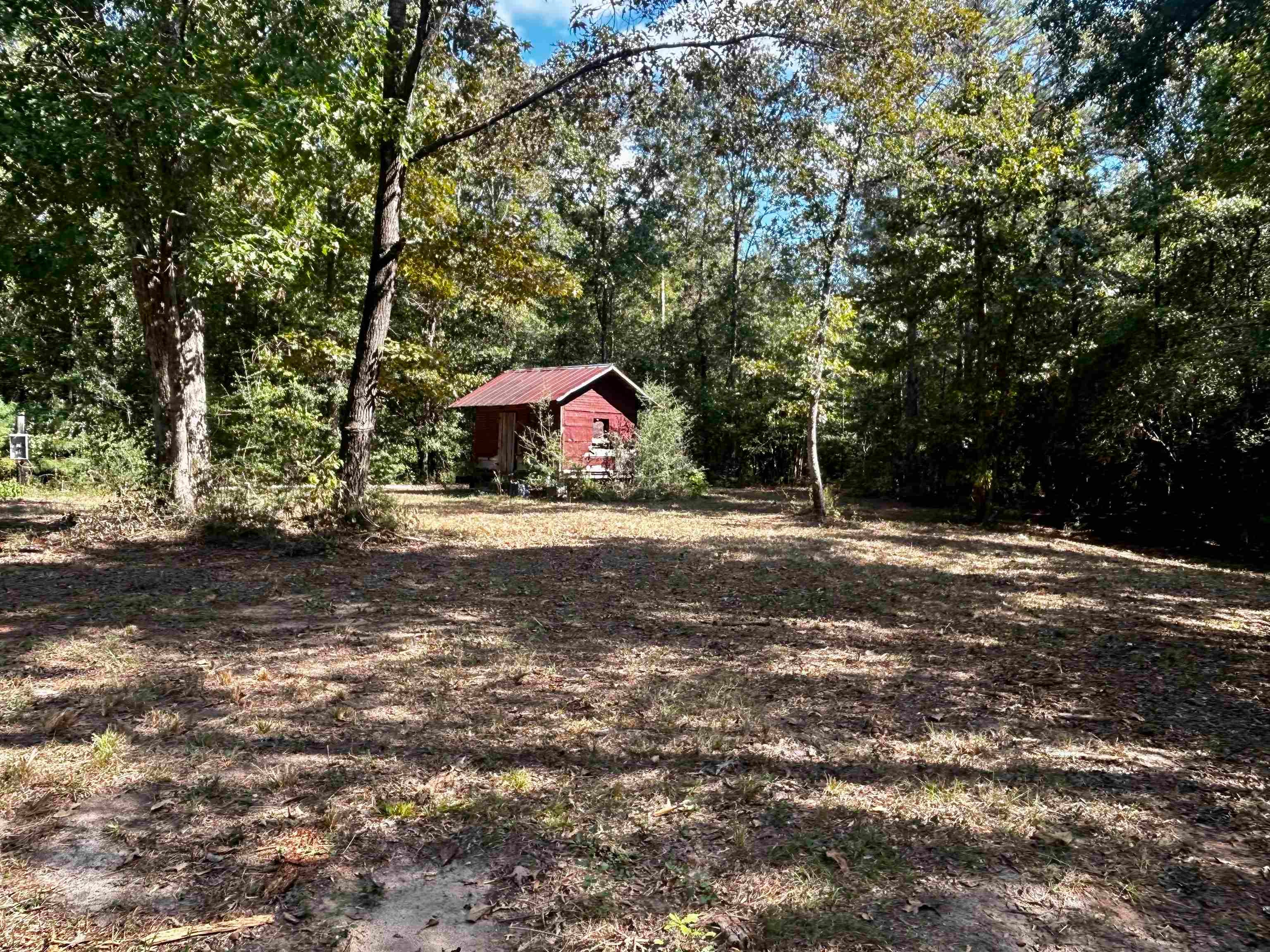 Swinson Road Red Level, AL 36474 - Photo 10 of 19 Gallery Image 10