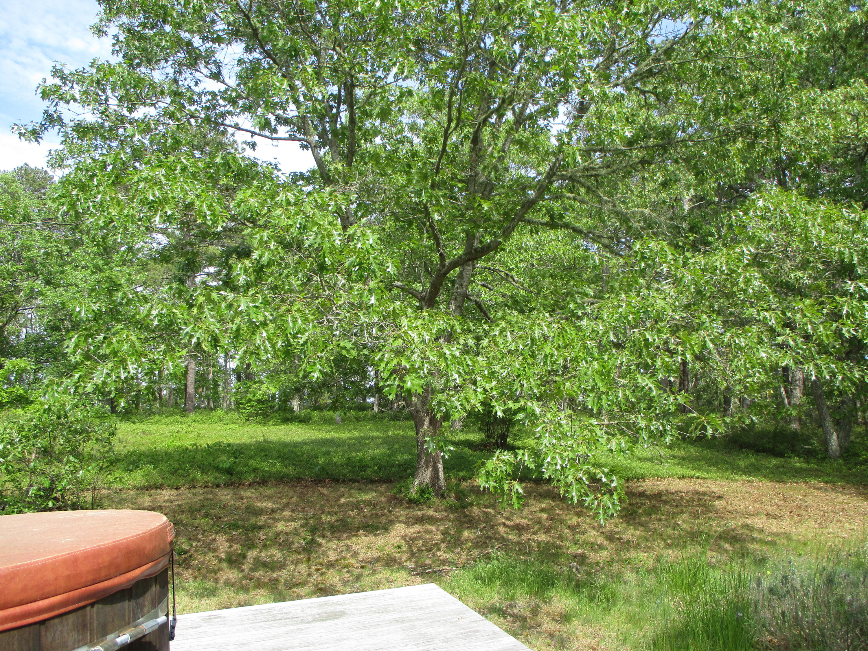 9 Pamet Point Road Truro, MA 02666 - Photo 5 of 33 IMG_5383