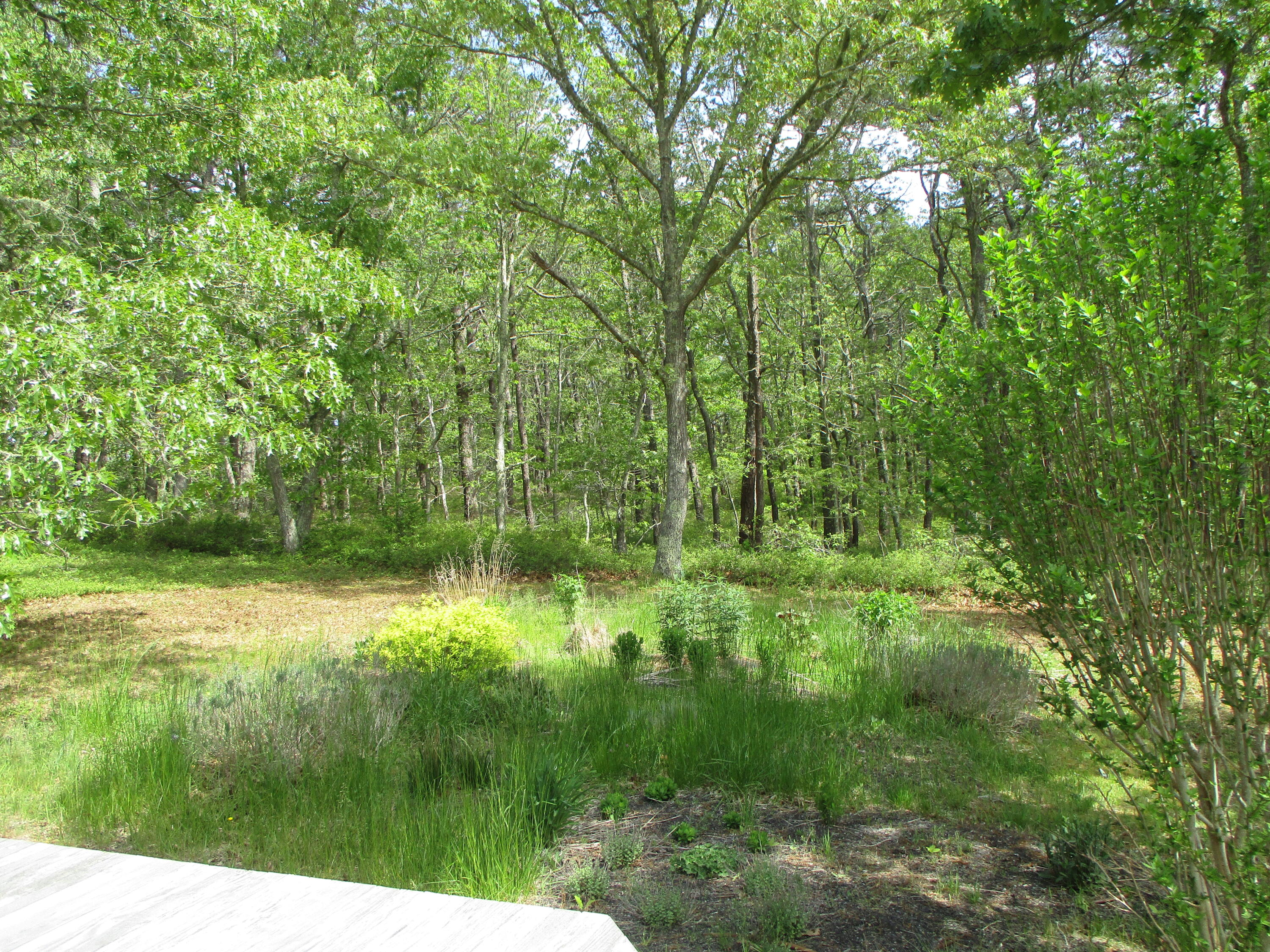 9 Pamet Point Road Truro, MA 02666 - Photo 6 of 33 IMG_5381