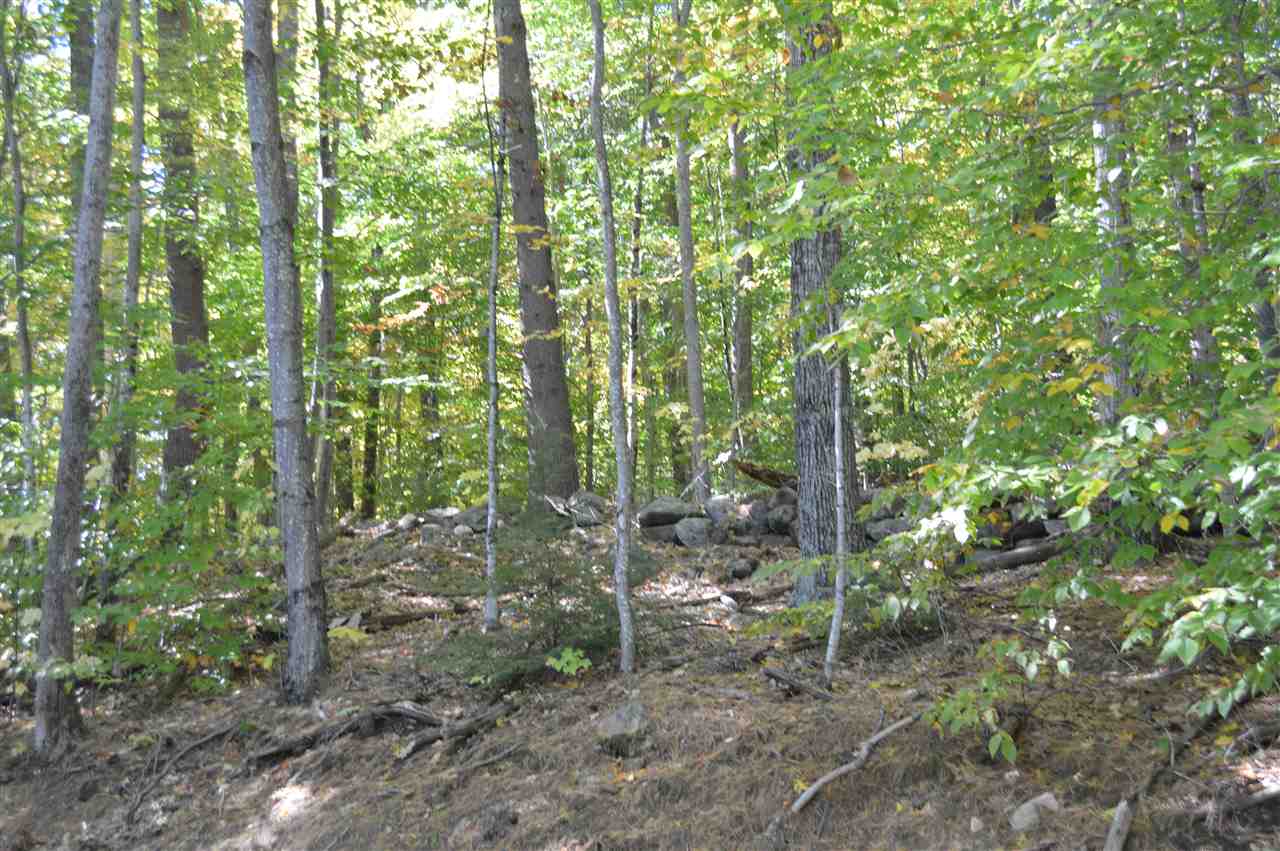 Lot 0 True Farm Road Holderness, NH 03245 - Photo 8 of 10