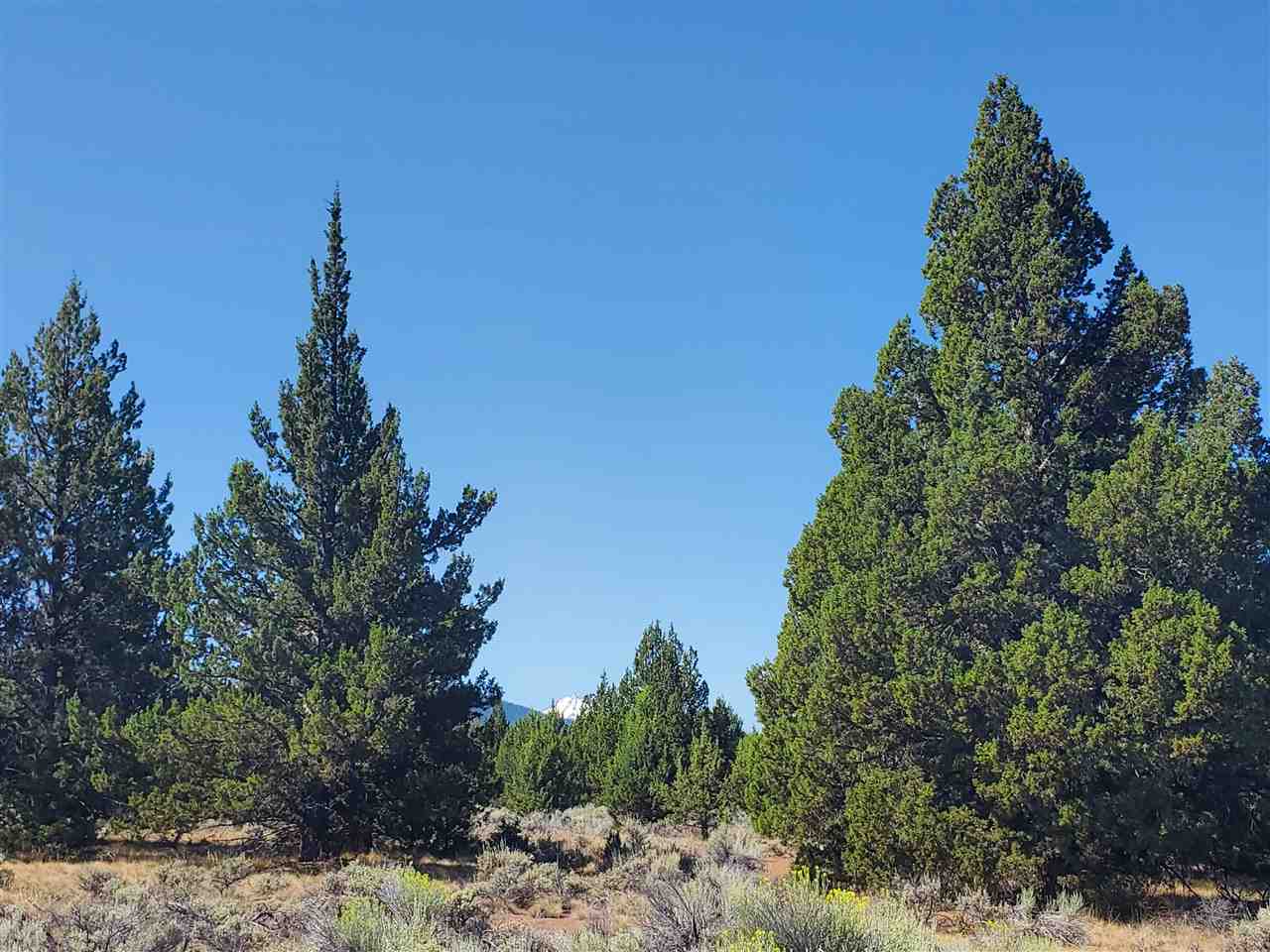 1 Unmarked Road Macdoel, CA 96058 - Photo 4 of 21 Gallery Image 4