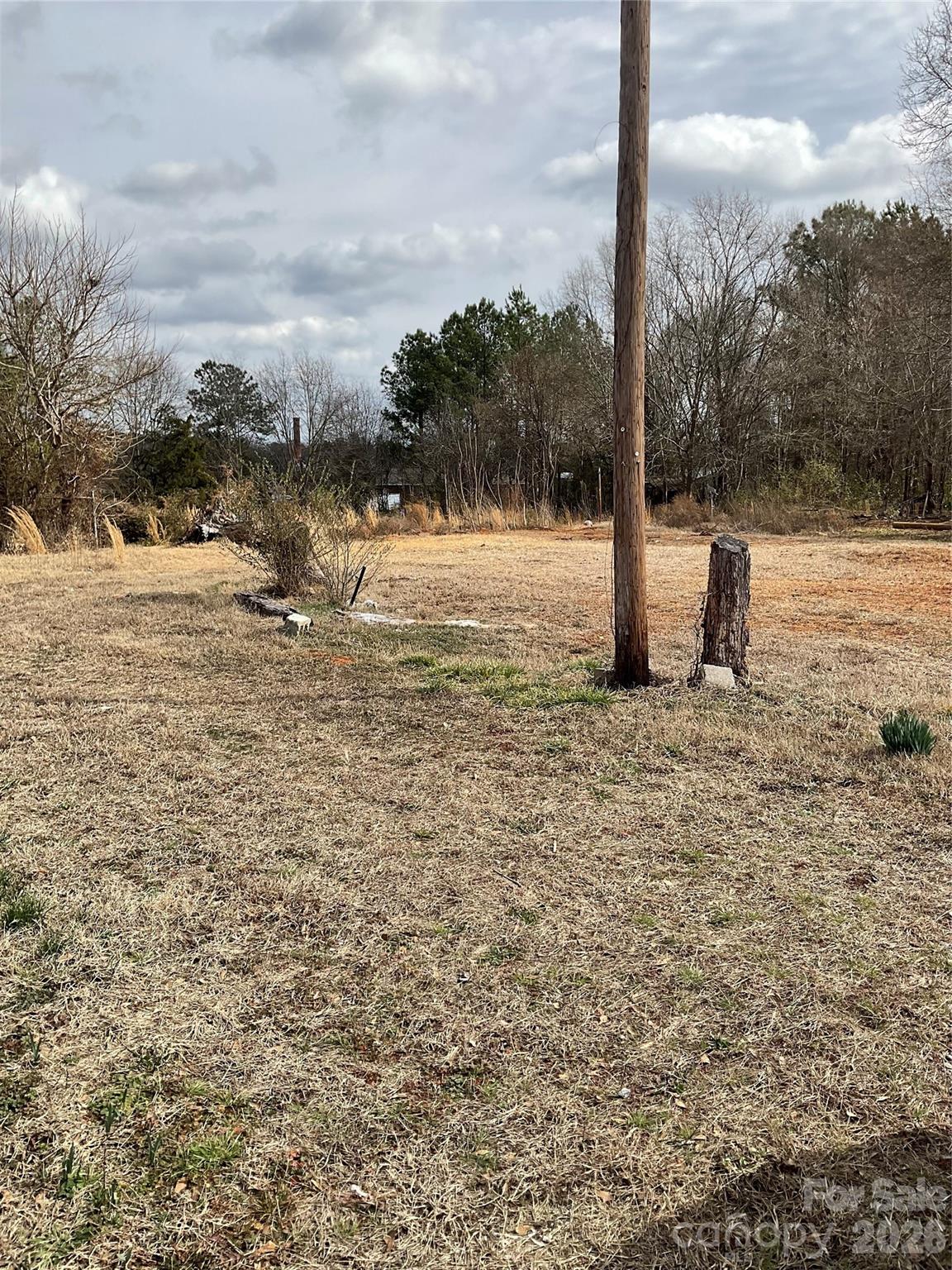 293 South Pea Ridge Road Mooresboro, NC 28114 - Photo 12 of 14