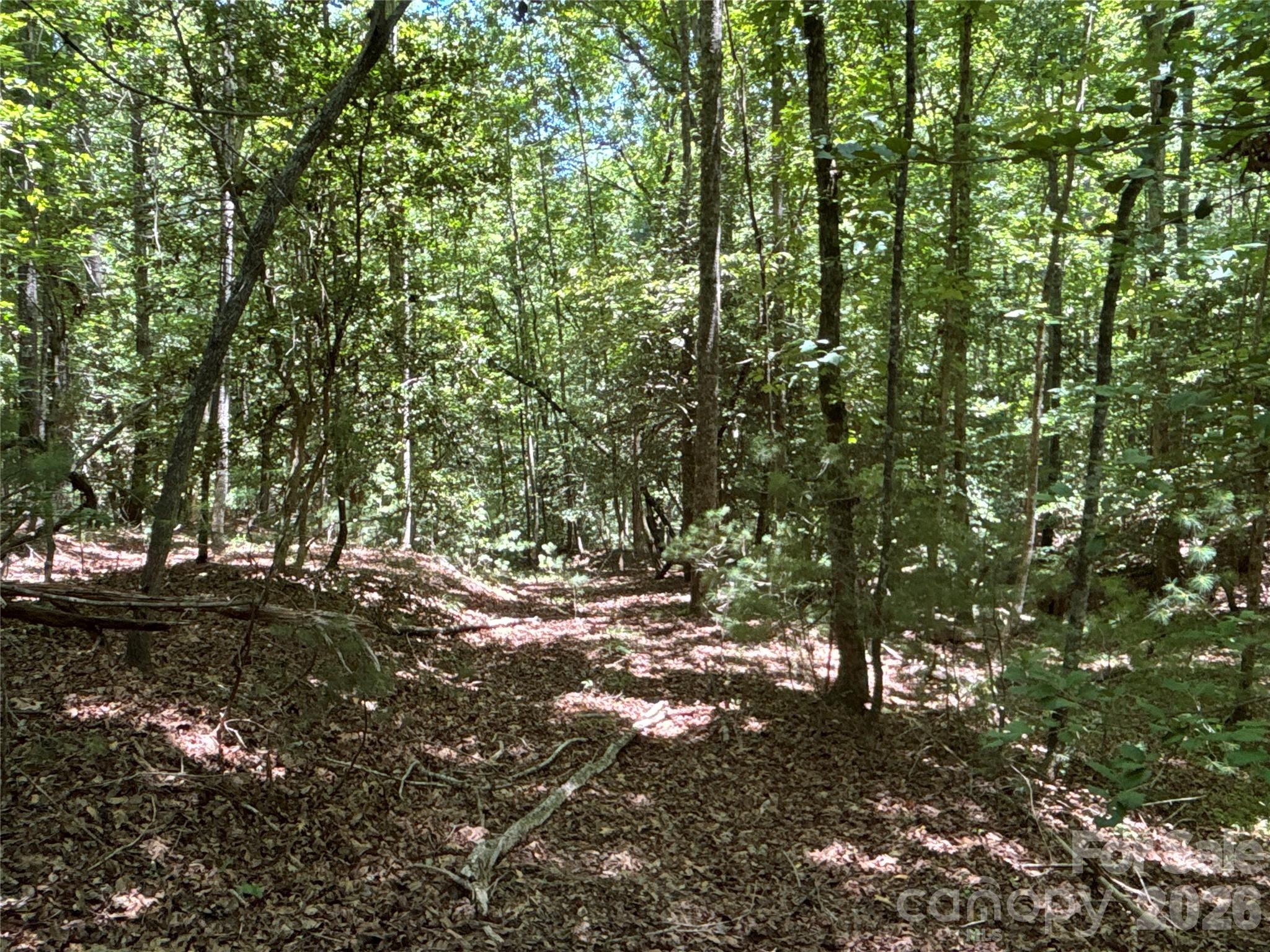 2006 Piedmont Road Morganton, NC 28655 - Photo 4 of 14