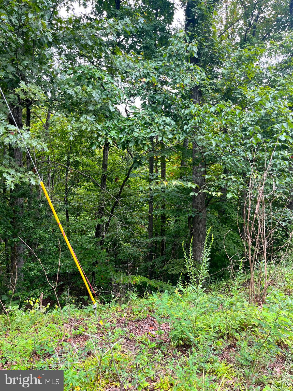 202 Sail Cove Stafford, VA 22554 - Photo 3 of 10 a backyard of a house with lots of green space