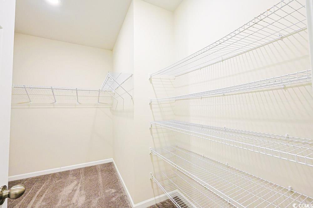 1560 Swing Bridge Way Myrtle Beach, SC 29588 - Photo 14 of 35 Spacious closet with light carpet