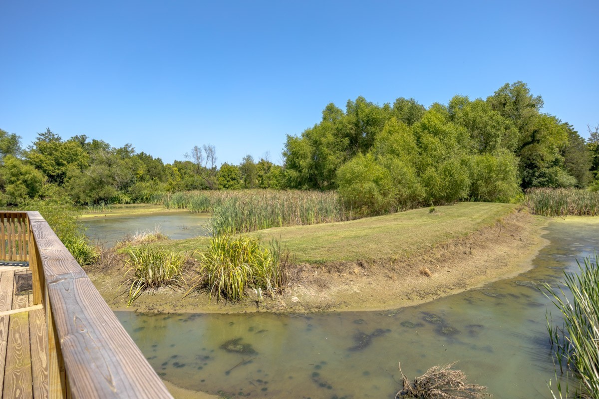 6923 Cross Keys Road College Grove, TN 37046 - Photo 30 of 67