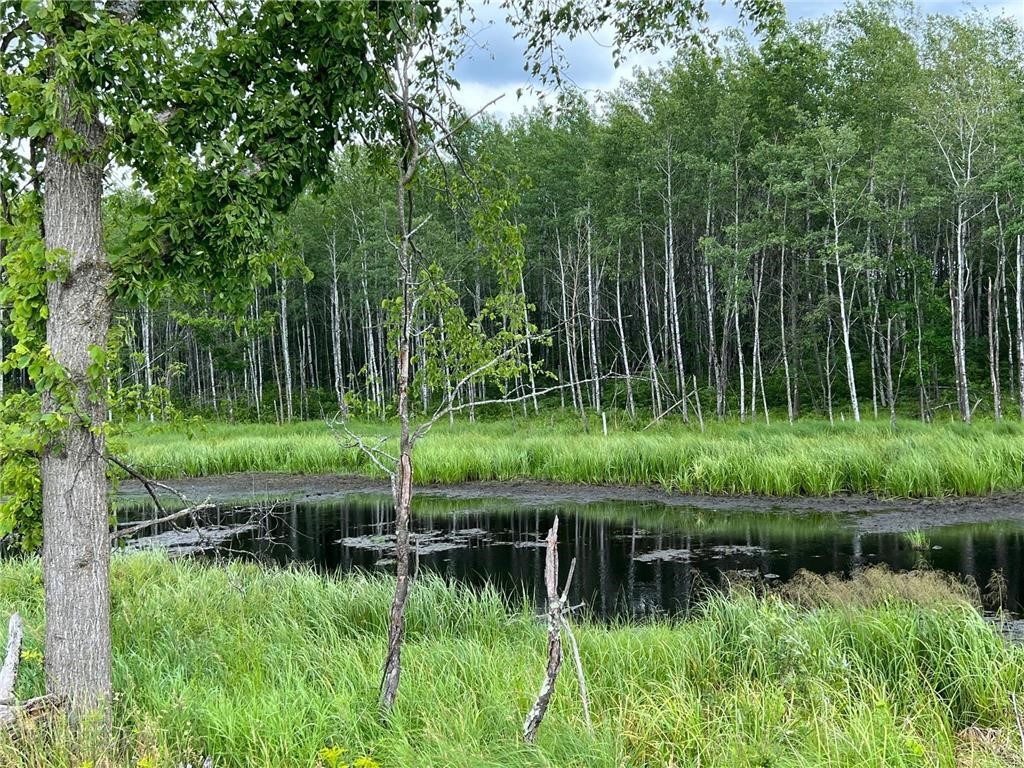 W37-xx Frog Creek Road Minong, WI 54859 - Photo 17 of 40 Pond