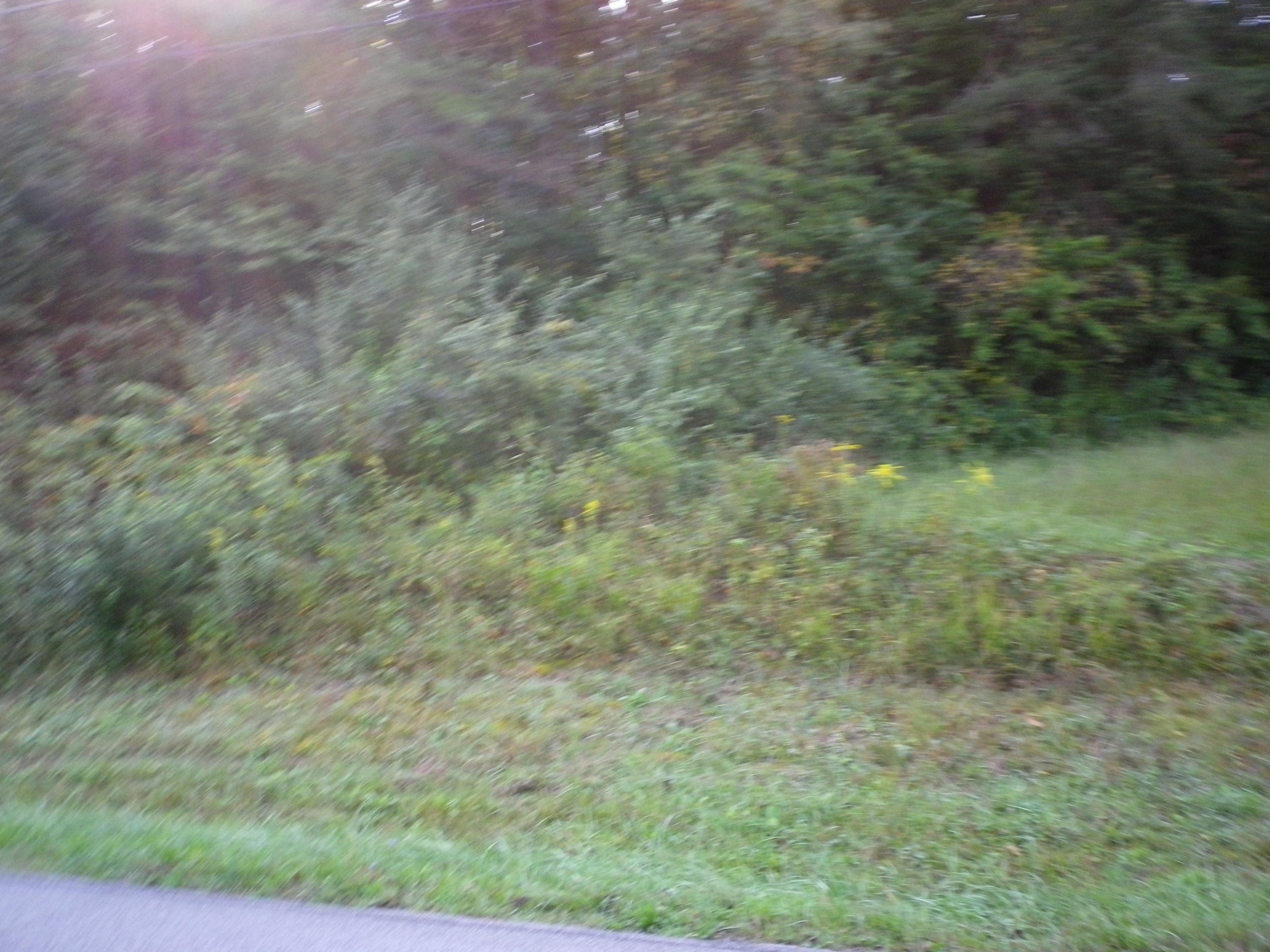 Lot #3 Dutch Valley Road Clinton, TN 37716 - Photo 1 of 4 IMGP5224