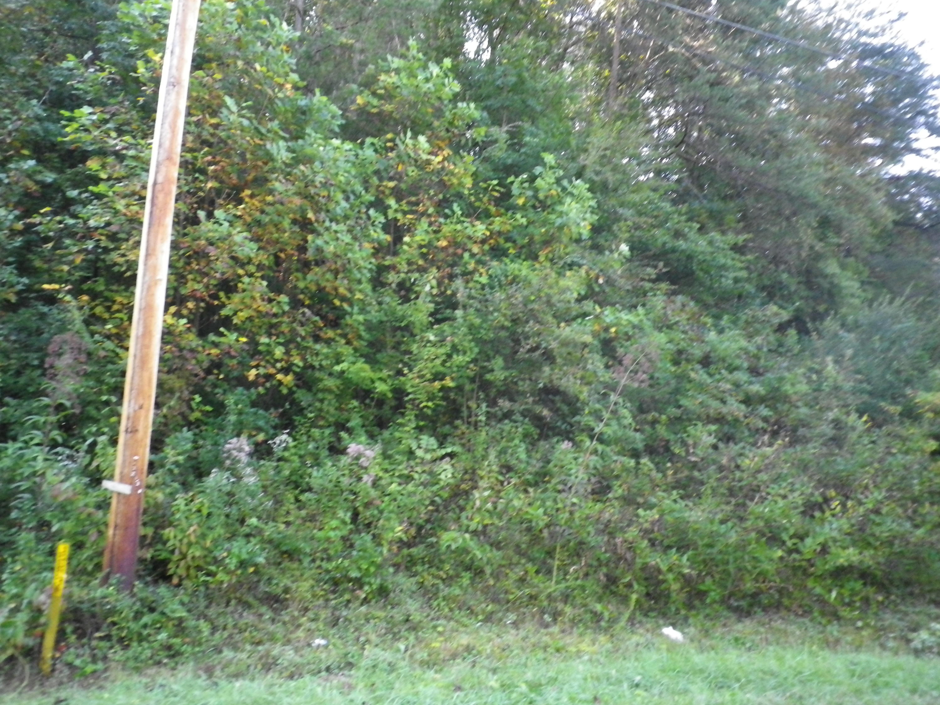 Lot #3 Dutch Valley Road Clinton, TN 37716 - Photo 2 of 4 IMGP5223