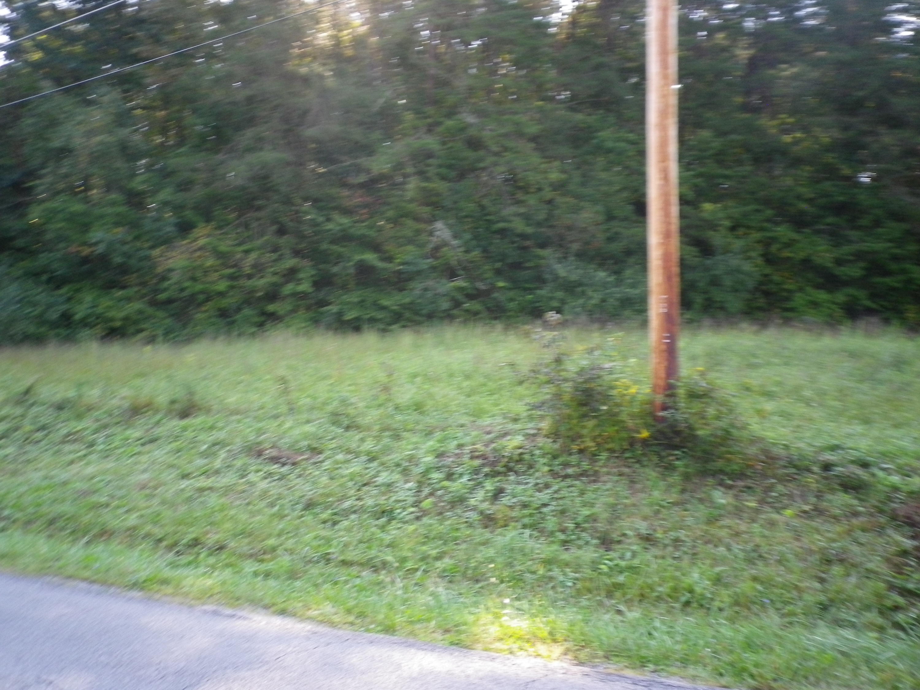 Lot #3 Dutch Valley Road Clinton, TN 37716 - Photo 3 of 4 IMGP5225