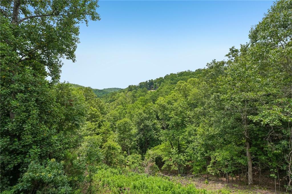 1384 Crystal Lane Northeast Ranger, GA 30734 - Photo 63 of 89 a view of a field of grass and trees
