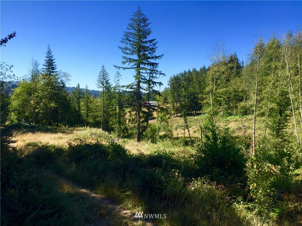 150 Autumn Hills Road Kelso, WA 98626 - Photo 1 of 8 Gallery Image 1