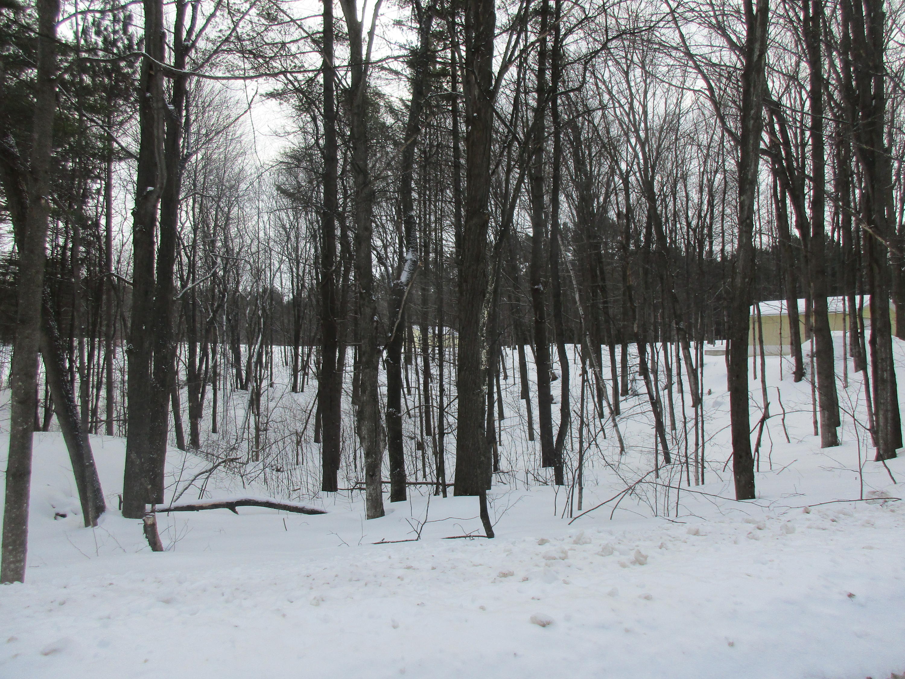 6794 Cherwinski Road Vanderbilt, MI 49795 - Photo 32 of 32 Gallery Image 32
