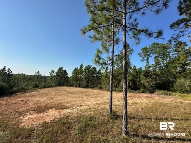 11865 Red Hill Rd Extension Bay Minette, AL 36507 - Photo 7 of 12