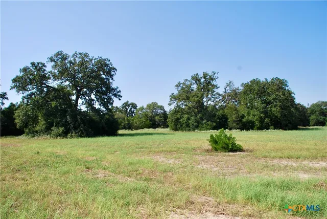 a view of grassy field with trees