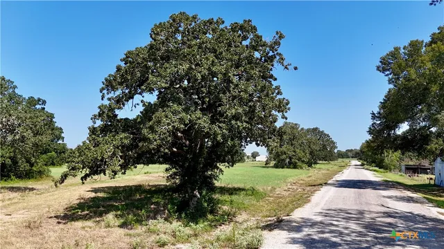 a view of a yard with plants and trees