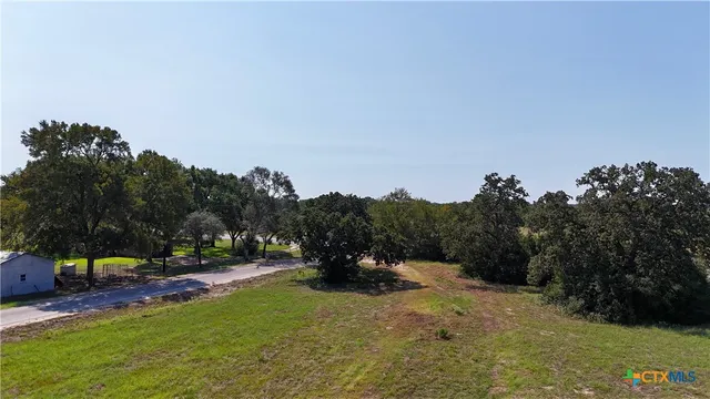 a view of a park with large trees