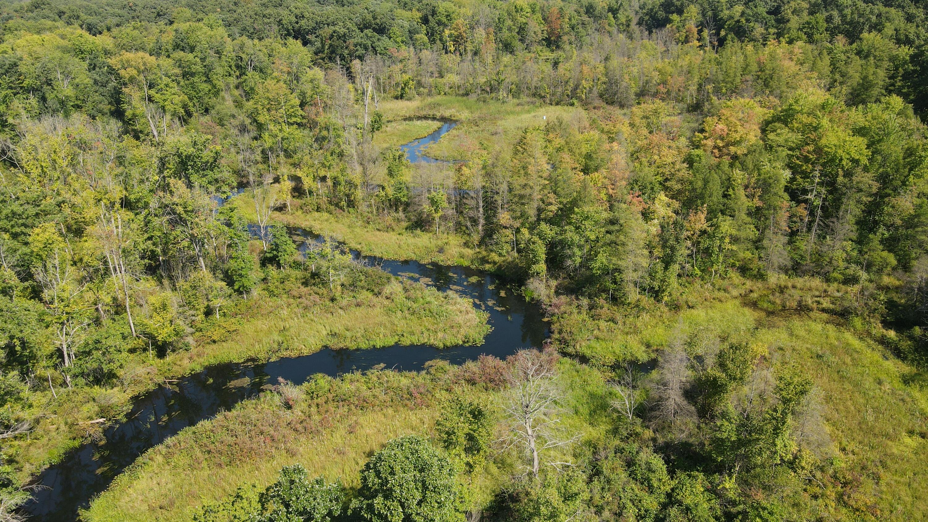52524 Johnson Road Three Rivers, MI 49093 - Photo 5 of 23 dji_fly_20260828_112718_807_178793579828