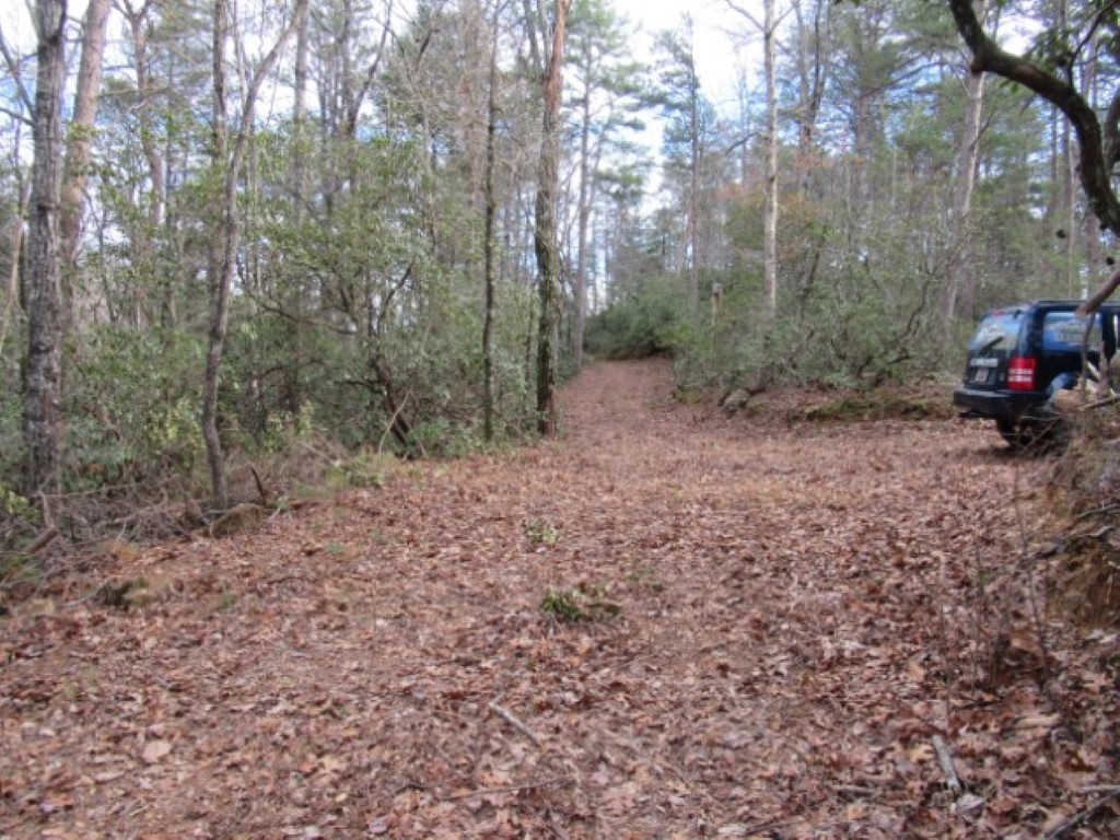 0 South Saluda Road Cleveland, SC 29635 - Photo 5 of 34 Gallery Image 5
