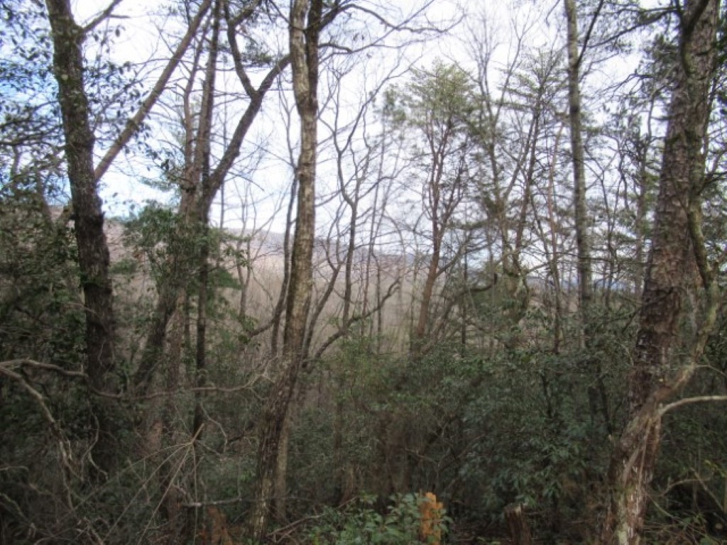 0 South Saluda Road Cleveland, SC 29635 - Photo 6 of 34 Gallery Image 6
