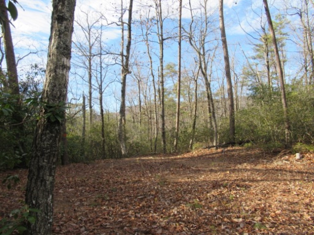0 South Saluda Road Cleveland, SC 29635 - Photo 9 of 34 Gallery Image 9