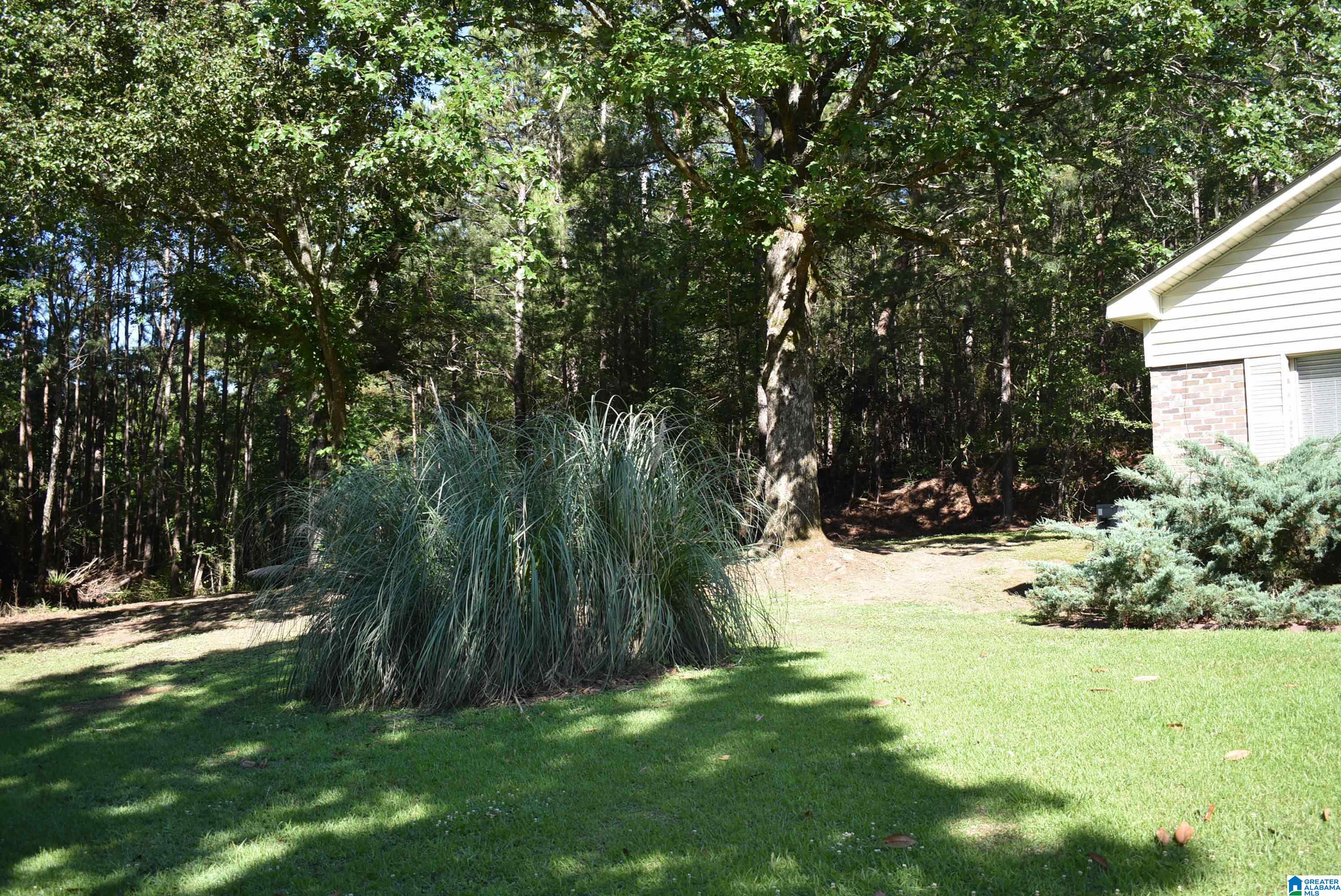 3098 Jackson Road Morris, AL 35116 - Photo 3 of 14