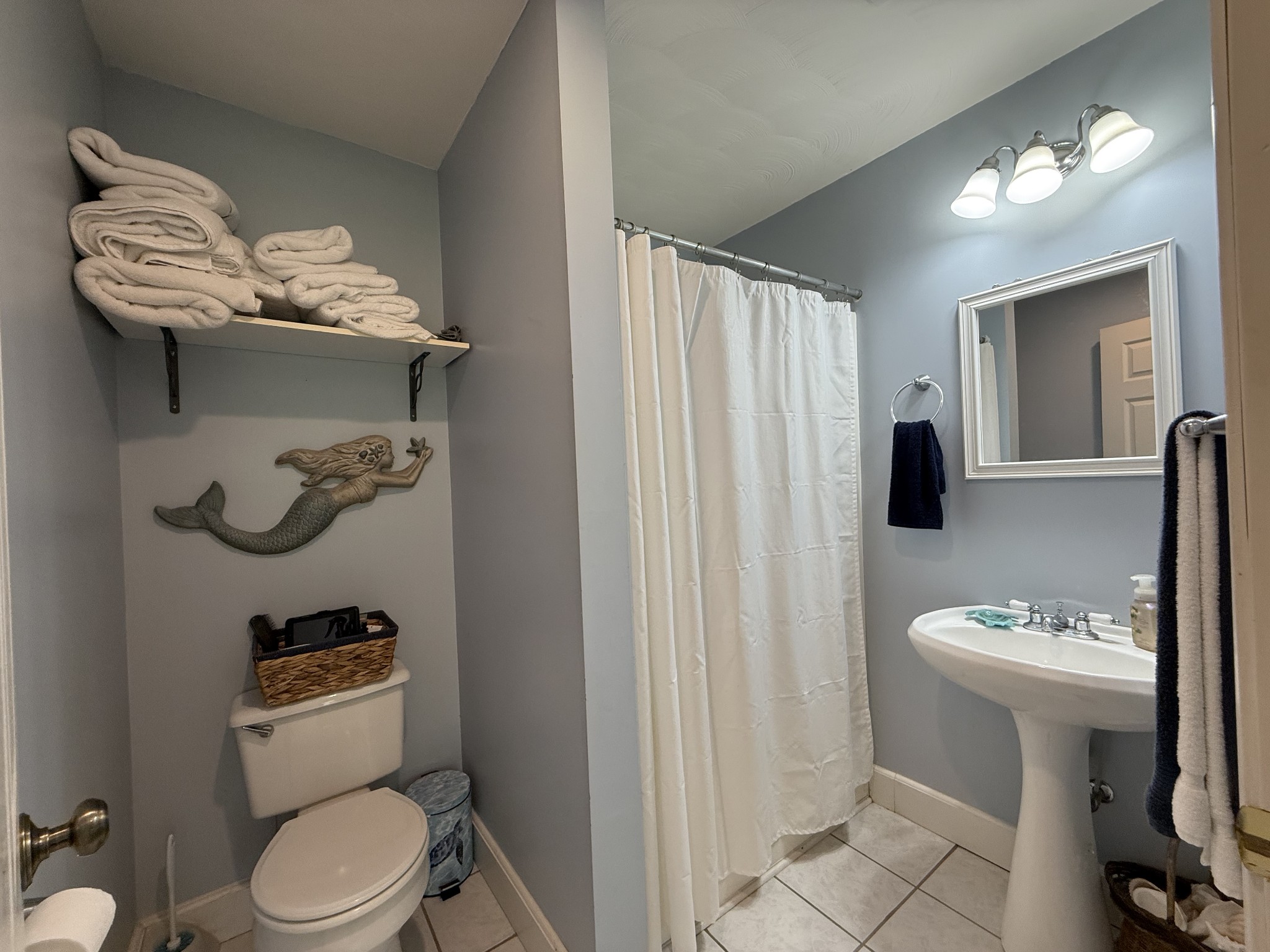 1086 Brown Mill Road McEwen, TN 37101 - Photo 41 of 44 a bathroom with a sink a toilet and shower