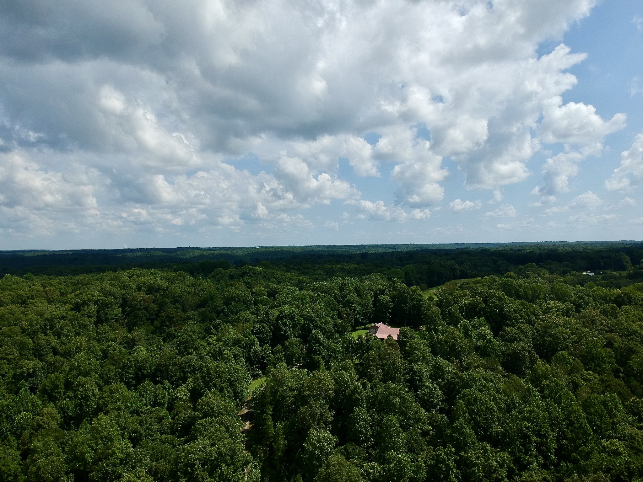 1086 Brown Mill Road McEwen, TN 37101 - Photo 6 of 44 a view of a yard with a garden