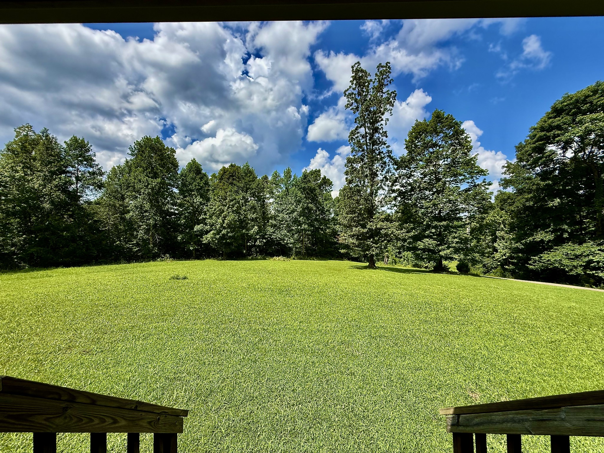 1086 Brown Mill Road McEwen, TN 37101 - Photo 7 of 44 a view of a field with an outdoor space