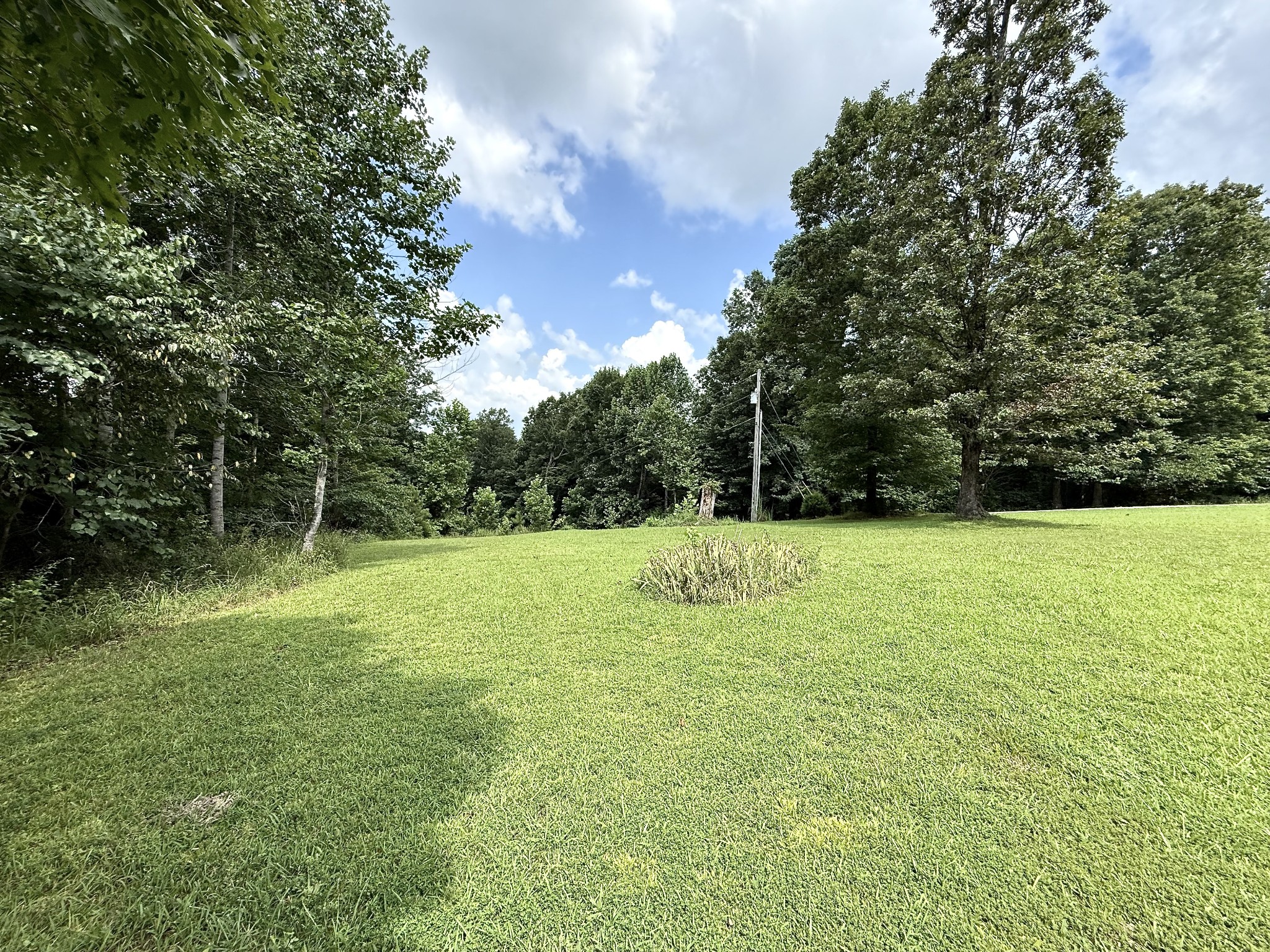 1086 Brown Mill Road McEwen, TN 37101 - Photo 9 of 44 a view of a field with a tree